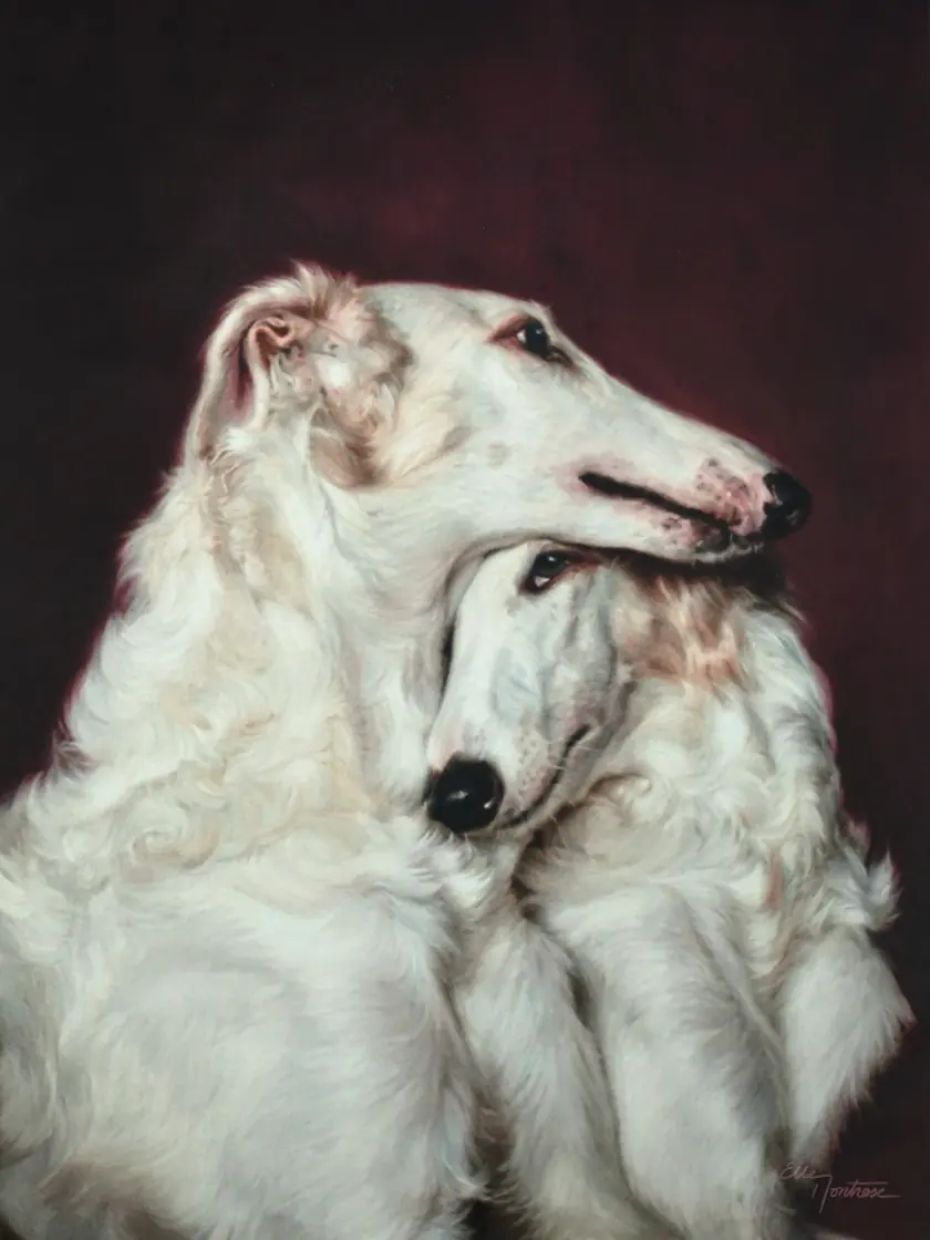 Borzois n°1